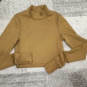 Aerie Women's Camel Turtleneck Cropped Top